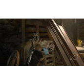 生化危机4重制版悬赏任务攻略 虫巢悬赏任务怎么做