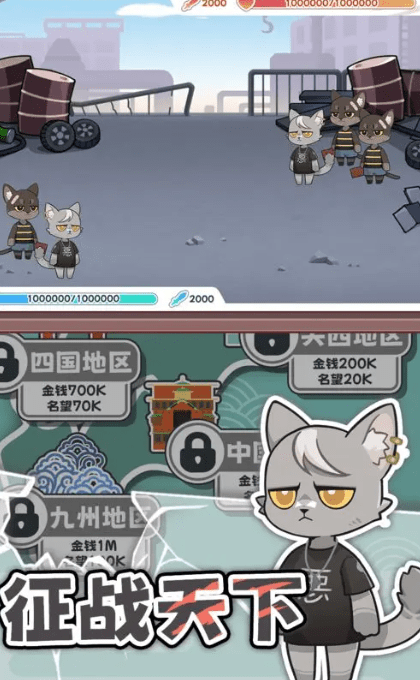 社会我猫哥完整版