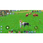 《创造与魔法》红盖头配方怎么获得