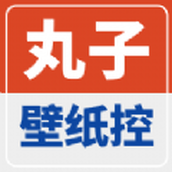 丸子壁纸控手机版