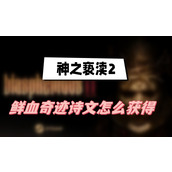 神之亵渎2鲜血奇迹怎么获得