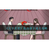 《文字真相》我的妻子怎么过