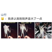 我承认我刚才说话声音有点大梗是什么意思
