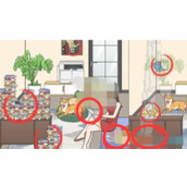 《就我眼神好》暑假作业攻略