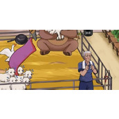 《就挺秃然的》助农救羊怎么通关