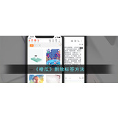 《橙瓜》删除标签方法