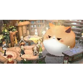 森之国度前期阵容推荐攻略