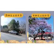 贴贴怎么发布表情包