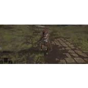 《艾尔登法环》废墟关卡的骑士打法介绍