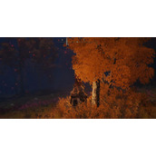 《艾尔登法环》废墟前说话的人寻找方法