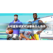 全明星街球派对汤普森怎么培养