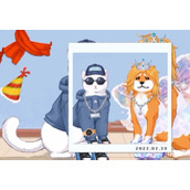 超级收纳馆萌宠出道怎么过