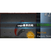 《csgo》最贵的枪一览