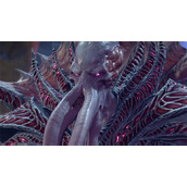 《博德之门3》君主性别介绍