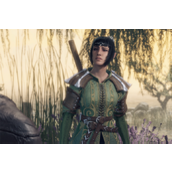 《博德之门3》是网游还是单机说明