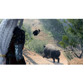 《博德之门3》开局野猪介绍