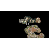 《博德之门3》奥林击杀攻略