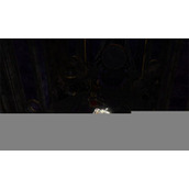 《博德之门3》菲尔罗敏所在地