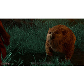 《博德之门3​》枭熊洞位置介绍