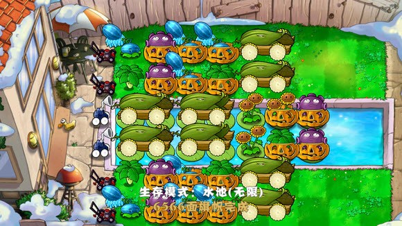 植物大战僵尸国际版正版