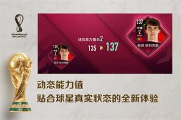 FIFA足球世界国际服