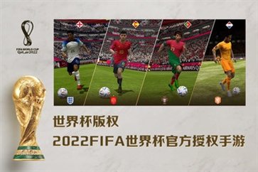 FIFA足球世界国际服