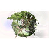 《光隙解语》莱珀人物角色详细介绍