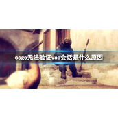 《csgo》无法验证vac会话原因介绍