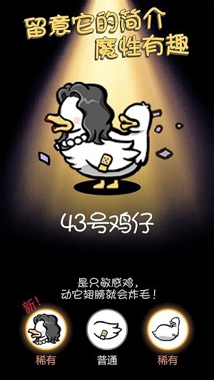 小鸡真奇怪免广告