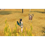 风云岛行动山羊有什么用(山羊作用属性介绍)