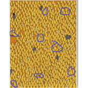 《全民剧本大师》玉米地找茬怎么过