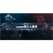 《csgo》we意思介绍