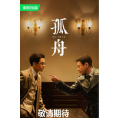 《孤舟》电视剧一共有多少集