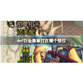 《dnf》白金徽章镶嵌部位介绍