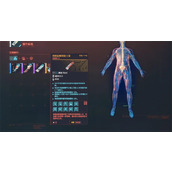 《赛博朋克2077》黑客流义体推荐