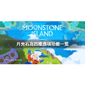 《月光石岛》四维有什么用？四维选项功能一览