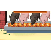 《沙雕出击》喂饱那群猪怎么过关