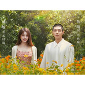 《亲爱的隐居先生》大结局是什么