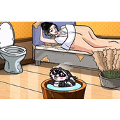 《奇葩汉字王》美女和干脆面怎么过