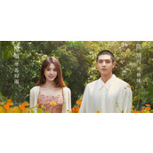 《亲爱的隐居先生》电视剧结局是什么