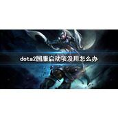 《dota2》国服启动项没用解决办法