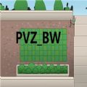 PVZ_BW安装包