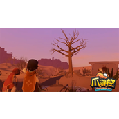 荒原疗者多少钱