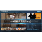 《cs2》黑屏有声音解决办法