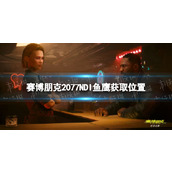 《赛博朋克2077》鱼鹰怎么获得？ NDI鱼鹰获取位置