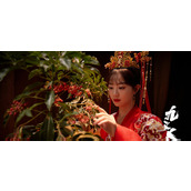 《九义人》蔺如兰是怎么死的