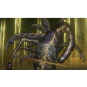 《艾尔登法环》艾尔登兽抗性介绍