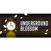 锈湖《Underground Blossom》第三行成就方法分享