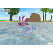 《创造与魔法》顽皮蝾螈饲料多少包？顽皮蝾螈的饲料制作