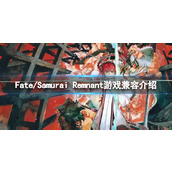 《Fate/Samurai Remnant》兼容steamDeck吗？游戏兼容介绍
